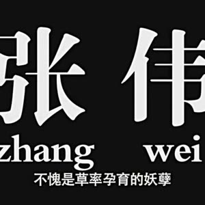 伟哥的表情包,你们体会一下.