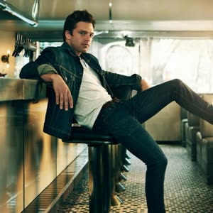 塞巴斯蒂安斯坦sebastian stan